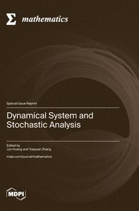 bokomslag Dynamical System and Stochastic Analysis