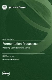 bokomslag Fermentation Processes