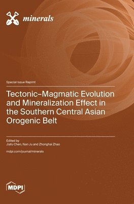 bokomslag Tectonic-Magmatic Evolution and Mineralization Effect in the Southern Central Asian Orogenic Belt