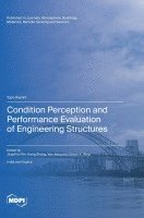 bokomslag Condition Perception and Performance Evaluation of Engineering Structures