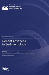 bokomslag Recent Advances in Sedimentology