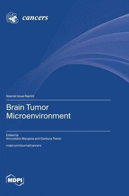 bokomslag Brain Tumor Microenvironment