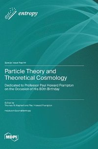 bokomslag Particle Theory and Theoretical Cosmology