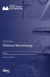 bokomslag Offshore Wind Energy