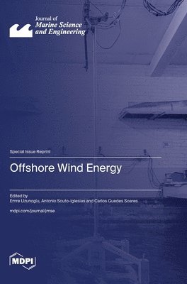 bokomslag Offshore Wind Energy