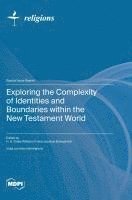 bokomslag Exploring the Complexity of Identities and Boundaries within the New Testament World