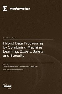 bokomslag Hybrid Data Processing by Combining Machine Learning, Expert, Safety and Security