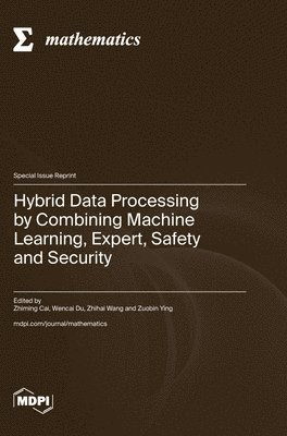 bokomslag Hybrid Data Processing by Combining Machine Learning, Expert, Safety and Security