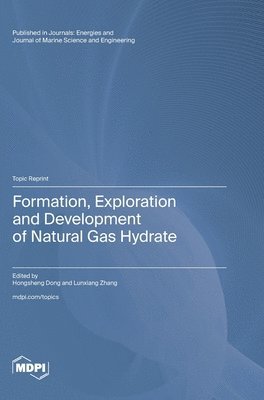 Formation, Exploration and Development of Natural Gas Hydrate, Inbunden