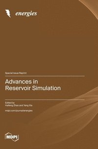 bokomslag Advances in Reservoir Simulation