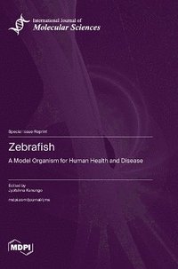bokomslag Zebrafish