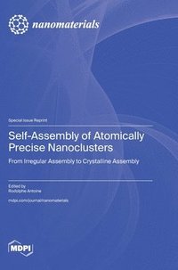 bokomslag Self-Assembly of Atomically Precise Nanoclusters: From Irregular Assembly to Crystalline Assembly