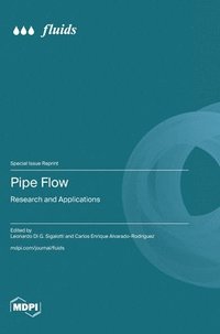 bokomslag Pipe Flow