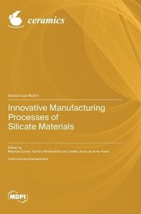 bokomslag Innovative Manufacturing Processes of Silicate Materials