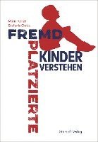 bokomslag Fremdplatzierte Kinder verstehen