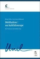 Médiation : un kaléidoscope