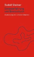 bokomslag Sinneserfahrung und Bewusstsein
