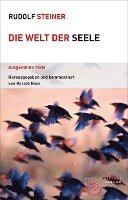 bokomslag Die Welt der Seele