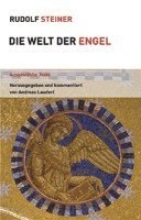 bokomslag Die Welt der Engel