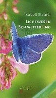bokomslag Lichtwesen Schmetterling