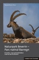 bokomslag Naturpark Beverin - parc natiral Bavregn