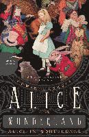 bokomslag Alice im Wunderland / Alice in Wonderland (Zweisprachige Ausgabe)