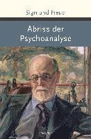 bokomslag Abriss der Psychoanalyse