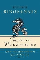 bokomslag Überall ist Wunderland - Die schönsten Gedichte