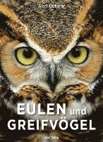Eulen und Greifvögel