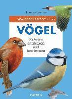 bokomslag Anaconda Taschenführer Vögel. 70 Arten bestimmen und entdecken