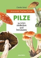 Anaconda Taschenführer Pilze. 59 Arten entdecken und bestimmen 1