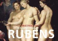 bokomslag Postkarten-Set Peter Paul Rubens