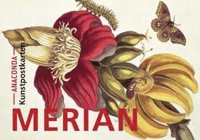 bokomslag Postkarten-Set Maria Sibylla Merian