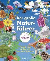 bokomslag Der große Naturführer. Pflanzen, Tiere, Wolken und Sternbilder bestimmen. Nach Lebensräumen gegliedert.