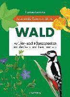 Thomas Launois, Xavier Nitsch, Sophie Padié, Morgane Peyrot, Charles Zettel - Anaconda Taschenführer Wald - 70 Tier- und Pflanzenarten entdecken und bestimmen, Häftad