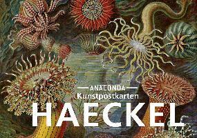 Postkarten-Set Ernst Haeckel, Häftad