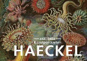 Postkarten-Set Ernst Haeckel 1