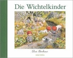 bokomslag Die Wichtelkinder