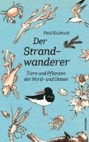 bokomslag Der Strandwanderer. Tiere und Pflanzen der Nord- und Ostsee