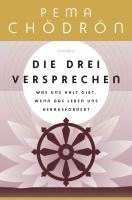 Pema Chödrön - Die drei Versprechen. Was uns Halt gibt, wenn das Leben uns herausfordert, Inbunden