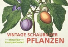 bokomslag Postkarten-Set Vintage-Schaubilder Pflanzen