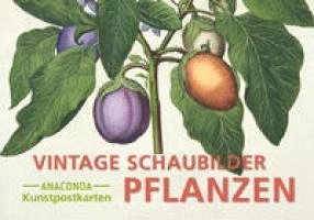 bokomslag Postkarten-Set Vintage-Schaubilder Pflanzen