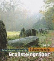 bokomslag Geheimnisvolle Großsteingräber