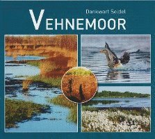 bokomslag Vehnemoor