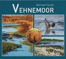 Vehnemoor 1