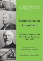 bokomslag Methodisten im Ammerland