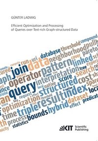 bokomslag Efficient Optimization and Processing of Queries over Text-rich Graph-structured Data