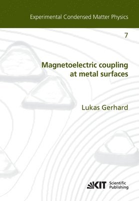 bokomslag Magnetoelectric coupling at metal surfaces