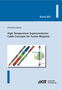 bokomslag High Temperature Superconductor Cable Concepts for Fusion Magnets
