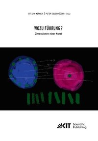 bokomslag Wozu Führung - Dimensionen einer Kunst